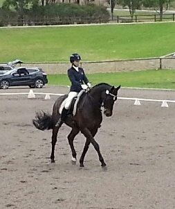 Philippa Cassidy and Voltaire - Nationals 2015